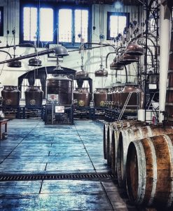 La distillerie de la Bénédictine