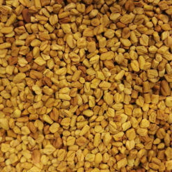 Fenugrec graines vrac épice aromatique curry cuisine expédition 50g Comptoir des Arômes