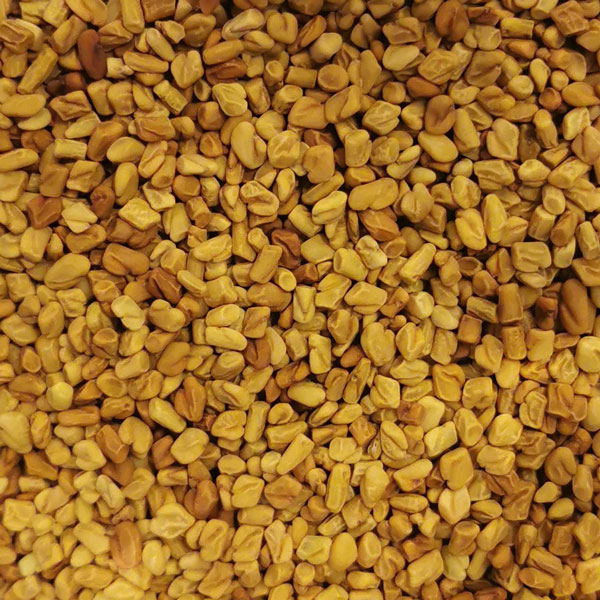Fenugrec graines vrac épice aromatique curry cuisine expédition 50g Comptoir des Arômes