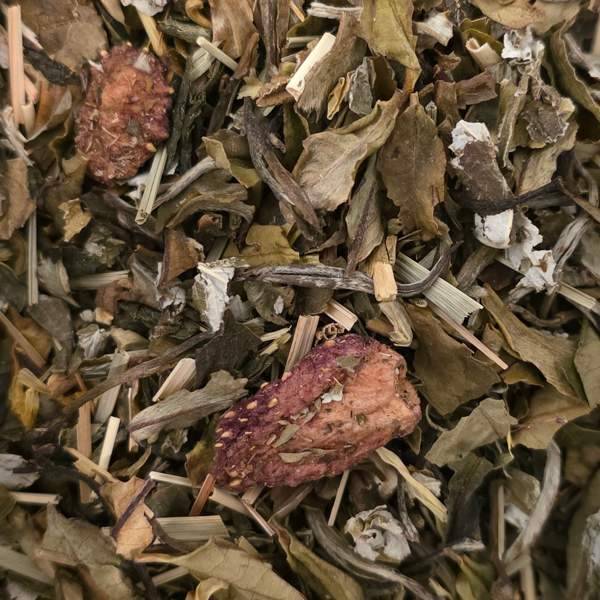 Thé vert et blanc Jardin des Sens Essencia rhubarbe fraise vrac expédition 50g Comptoir des Arômes