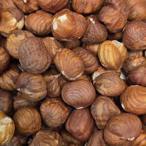 Noisettes