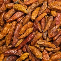 Piment langue d'oiseau