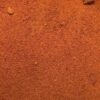 poudre de tomate