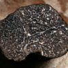 truffe