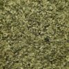 ail des ours ciselé sera parfait pour aromatiser vos plats