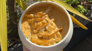 One Pot Gyoza version Comptoir 