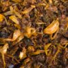Vadouvan du Comptoir des Arômes, un mélange d’épices parfumé aux notes douces, chaudes et légèrement exotiques pour relever les recettes maison.